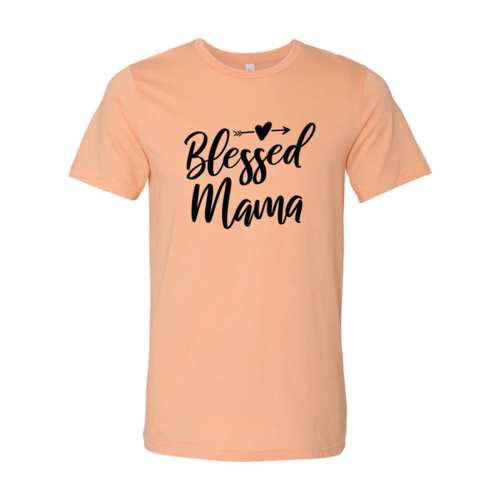 DT0284 Blessed Mama Shirt