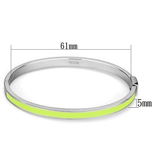 TK746 - High polished (no plating) Stainless Steel Bangle with Epoxy