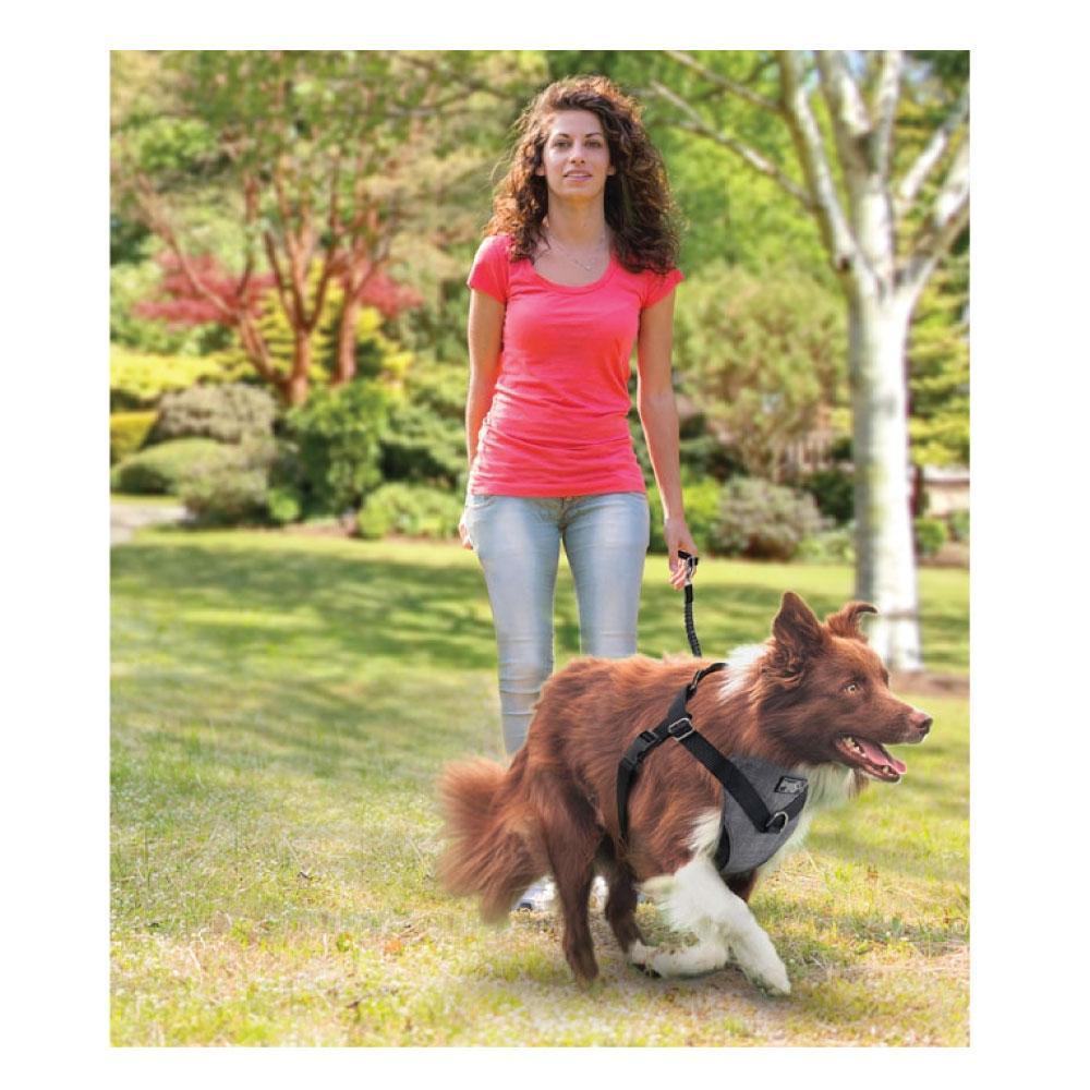 XL Dog Harness 2 in 1 Combo - Car Travel Rides + Walks - No Pull Leash